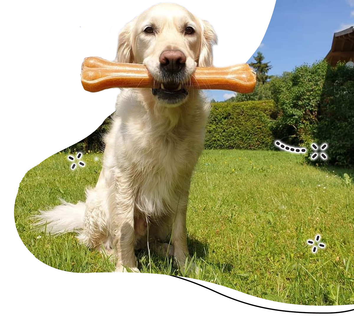 images/marz_hero-1.png