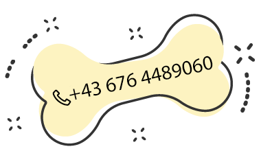 images/tel_gelb.png
